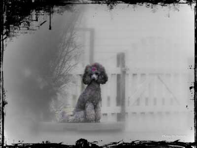 Kacey....